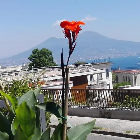 Apartmán Monocamera Con Terrazzogiardino -studette -zona Panoramica Posillipo *